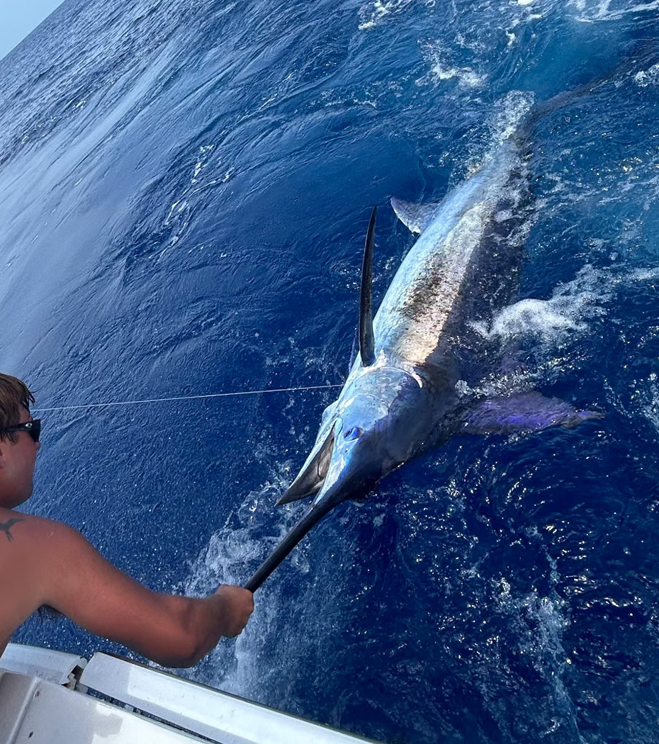 Mogicky Charters - Islamorada Fishing Charter